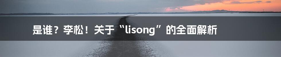 是谁?李松!关于“lisong”的全面解析