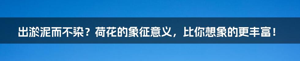 出淤泥而不染?荷花的象征意义,比你想象的更丰富!