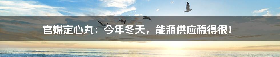 官媒定心丸:今年冬天,能源供应稳得很!