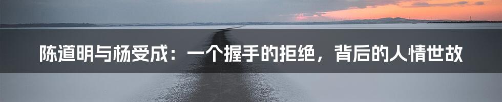 陈道明与杨受成:一个握手的拒绝,背后的人情世故