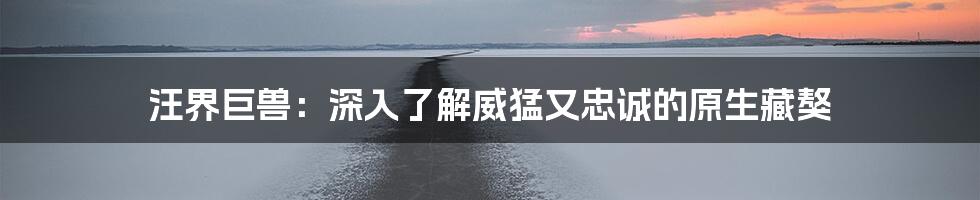 汪界巨兽：深入了解威猛又忠诚的原生藏獒