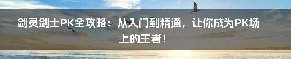 剑灵剑士PK全攻略:从入门到精通,让你成为PK场上的王者!
