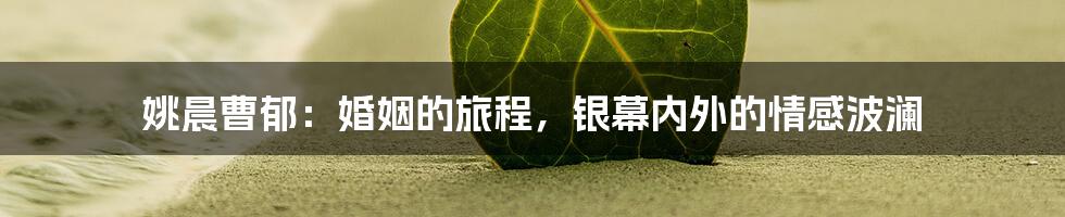 姚晨曹郁:婚姻的旅程,银幕内外的情感波澜