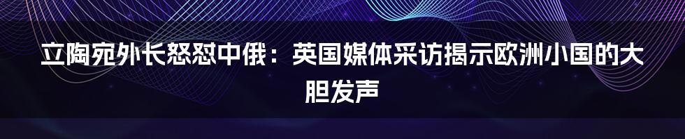 立陶宛外长怒怼中俄：英国媒体采访揭示欧洲小国的大胆发声