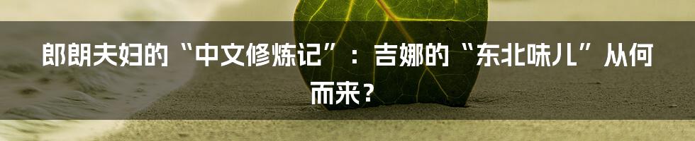郎朗夫妇的“中文修炼记”:吉娜的“东北味儿”从何而来?