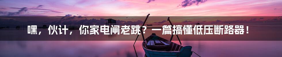 嘿,伙计,你家电闸老跳?一篇搞懂低压断路器!