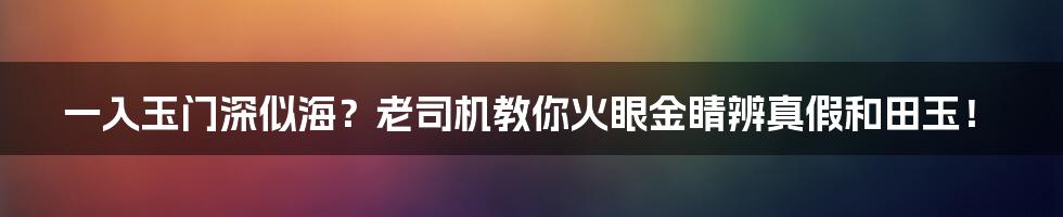 一入玉门深似海？老司机教你火眼金睛辨真假和田玉！