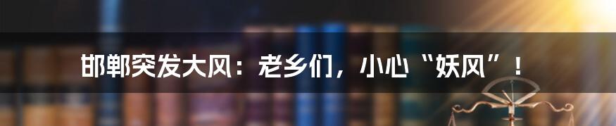 邯郸突发大风:老乡们,小心“妖风”!