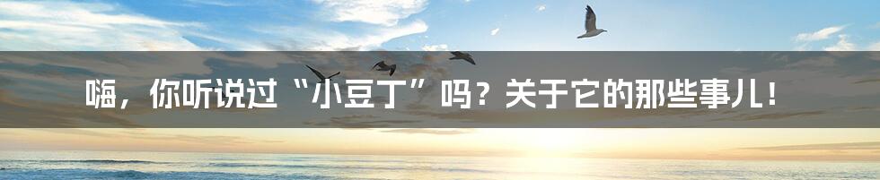 嗨,你听说过“小豆丁”吗?关于它的那些事儿!