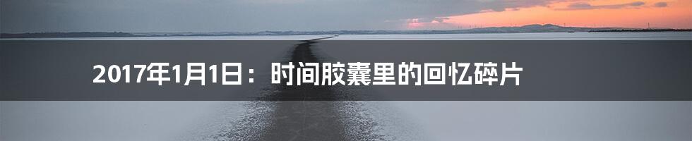 2017年1月1日:时间胶囊里的回忆碎片
