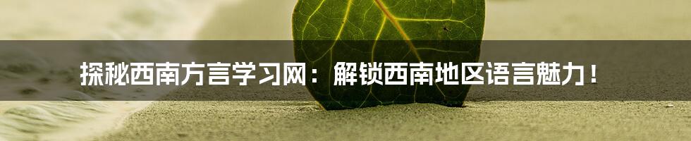 探秘西南方言学习网:解锁西南地区语言魅力!