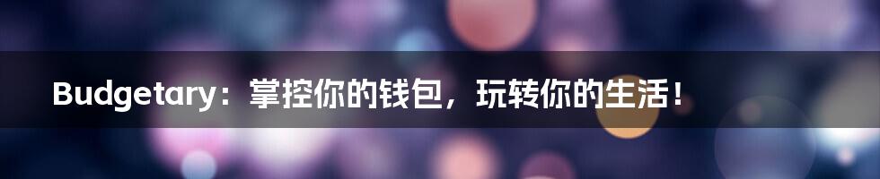 Budgetary:掌控你的钱包,玩转你的生活!