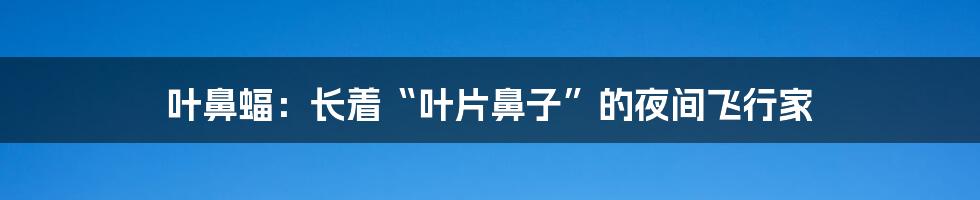 叶鼻蝠:长着“叶片鼻子”的夜间飞行家