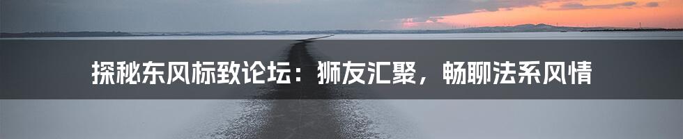 探秘东风标致论坛：狮友汇聚，畅聊法系风情
