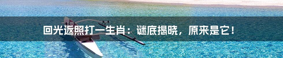回光返照打一生肖:谜底揭晓,原来是它!