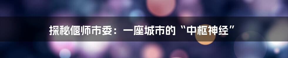 探秘偃师市委：一座城市的“中枢神经”