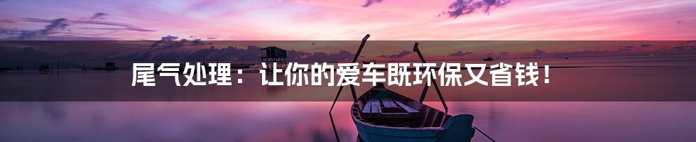 尾气处理:让你的爱车既环保又省钱!