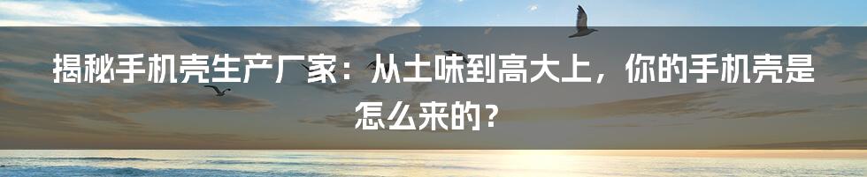 揭秘手机壳生产厂家:从土味到高大上,你的手机壳是怎么来的?