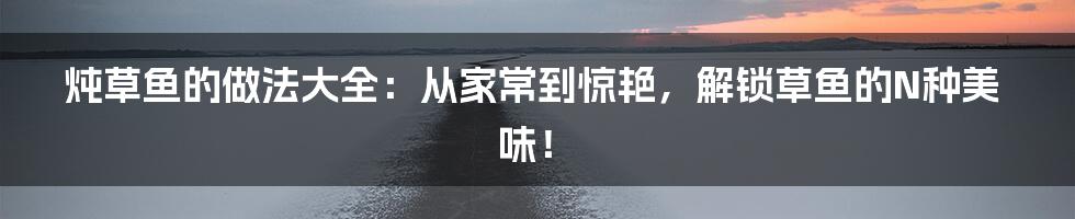 炖草鱼的做法大全:从家常到惊艳,解锁草鱼的N种美味!