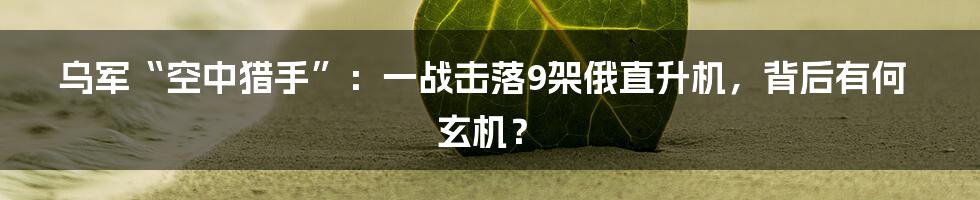 乌军“空中猎手”:一战击落9架俄直升机,背后有何玄机?