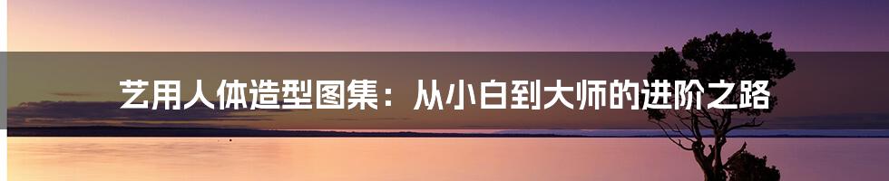 艺用人体造型图集：从小白到大师的进阶之路