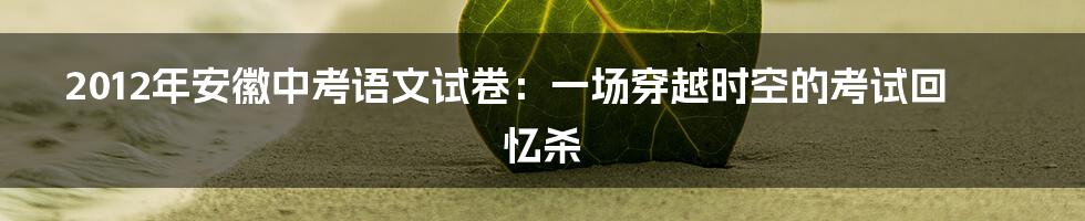2012年安徽中考语文试卷:一场穿越时空的考试回忆杀