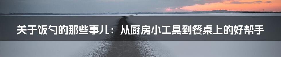 关于饭勺的那些事儿：从厨房小工具到餐桌上的好帮手