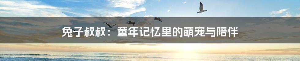 兔子叔叔:童年记忆里的萌宠与陪伴