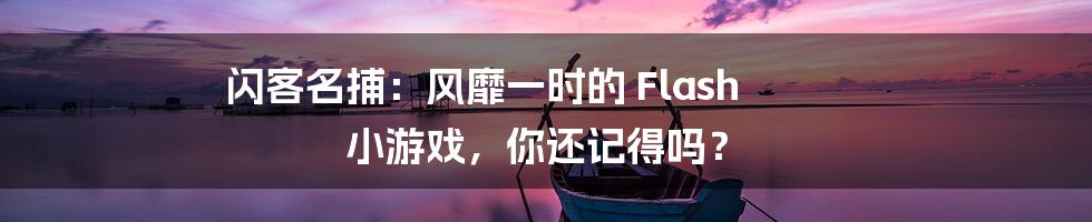 闪客名捕：风靡一时的 Flash 小游戏，你还记得吗？