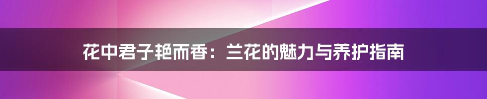 花中君子艳而香:兰花的魅力与养护指南