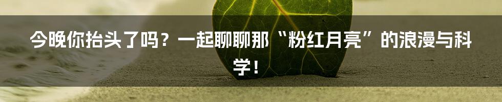 今晚你抬头了吗?一起聊聊那“粉红月亮”的浪漫与科学!