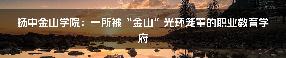 扬中金山学院:一所被“金山”光环笼罩的职业教育学府