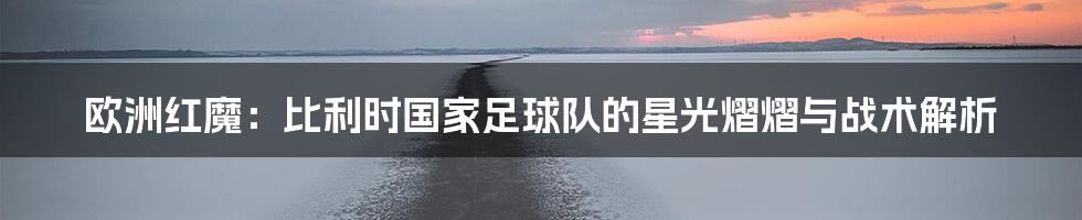 欧洲红魔：比利时国家足球队的星光熠熠与战术解析
