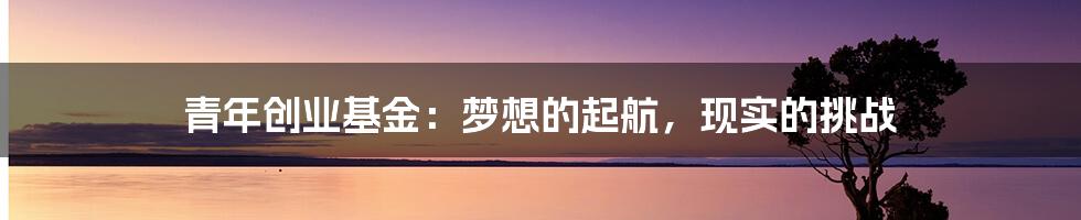 青年创业基金：梦想的起航，现实的挑战