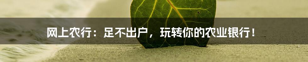 网上农行:足不出户,玩转你的农业银行!
