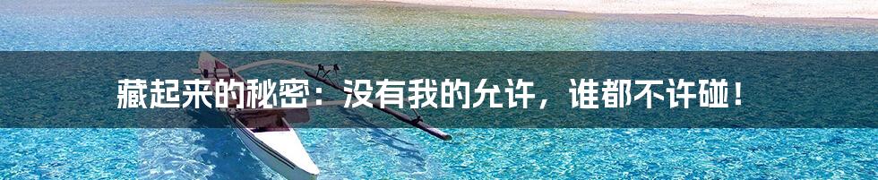 藏起来的秘密：没有我的允许，谁都不许碰！