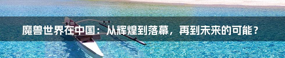 魔兽世界在中国:从辉煌到落幕,再到未来的可能?