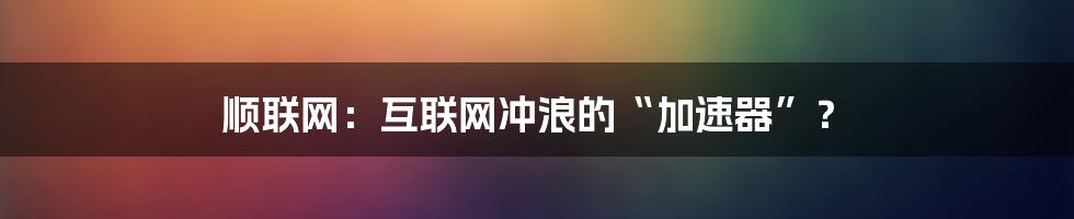 顺联网:互联网冲浪的“加速器”?