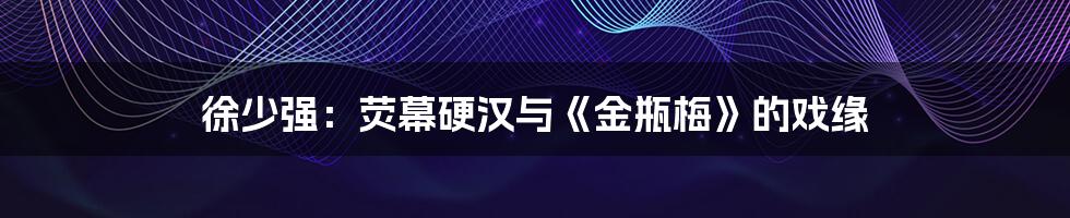 徐少强:荧幕硬汉与《金瓶梅》的戏缘