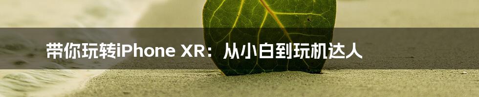 带你玩转iPhone XR:从小白到玩机达人