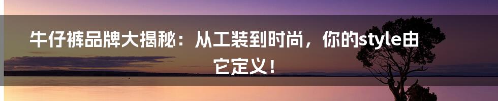 牛仔裤品牌大揭秘:从工装到时尚,你的style由它定义!