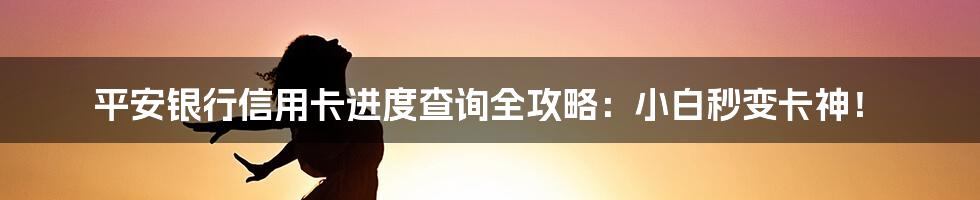平安银行信用卡进度查询全攻略:小白秒变卡神!