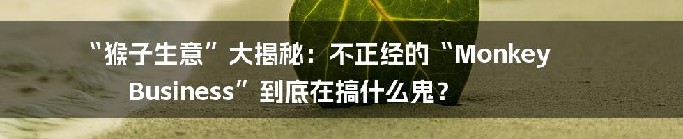 “猴子生意”大揭秘：不正经的“Monkey Business”到底在搞什么鬼？