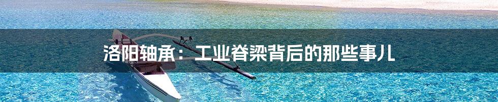 洛阳轴承:工业脊梁背后的那些事儿