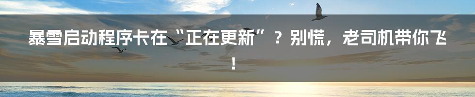 暴雪启动程序卡在“正在更新”?别慌,老司机带你飞!