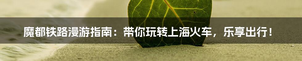 魔都铁路漫游指南：带你玩转上海火车，乐享出行！