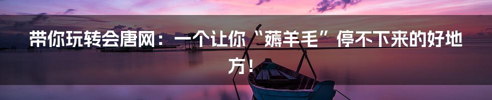 带你玩转会唐网:一个让你“薅羊毛”停不下来的好地方!