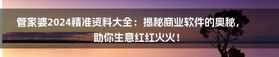 管家婆2024精准资料大全：揭秘商业软件的奥秘，助你生意红红火火！