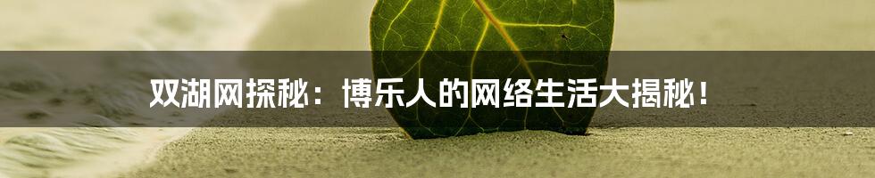 双湖网探秘：博乐人的网络生活大揭秘！