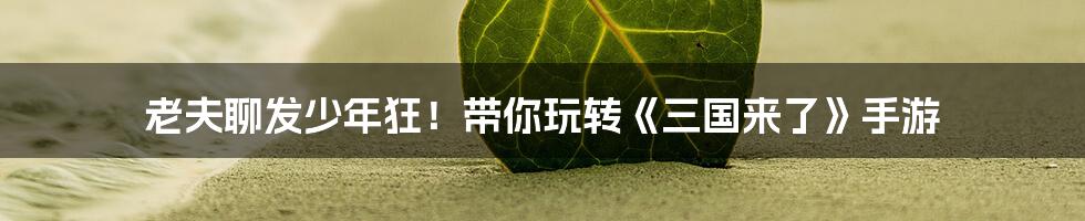 老夫聊发少年狂!带你玩转《三国来了》手游